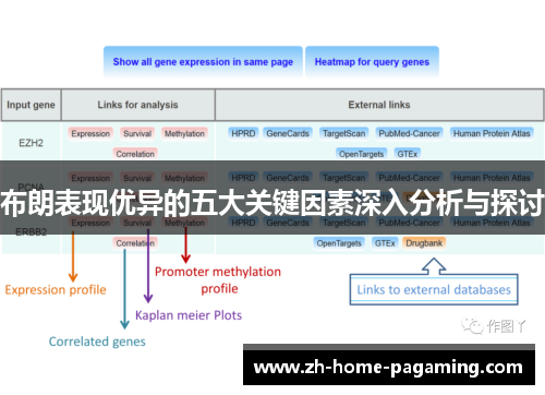 布朗表现优异的五大关键因素深入分析与探讨