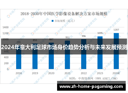 2024年意大利足球市场身价趋势分析与未来发展预测