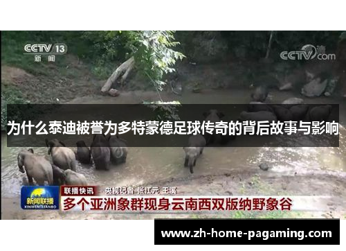 为什么泰迪被誉为多特蒙德足球传奇的背后故事与影响