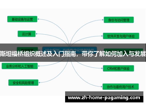 斯坦福桥组织概述及入门指南，带你了解如何加入与发展
