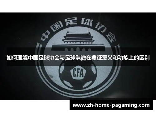 如何理解中国足球协会与足球队徽在象征意义和功能上的区别