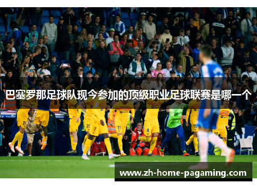 巴塞罗那足球队现今参加的顶级职业足球联赛是哪一个