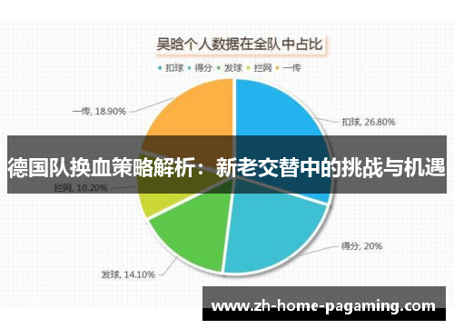德国队换血策略解析：新老交替中的挑战与机遇