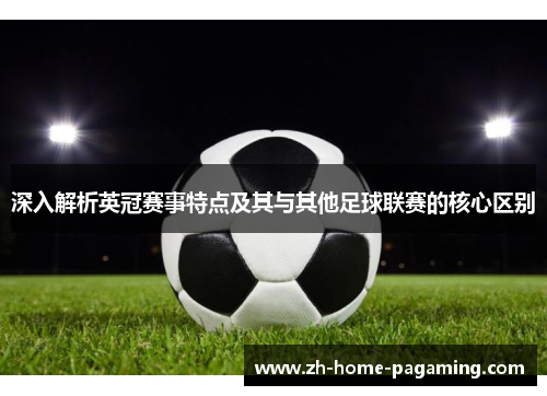 深入解析英冠赛事特点及其与其他足球联赛的核心区别 深入解析英冠赛事特点及其与其他足球联赛的核心区别