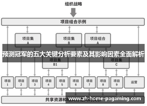 预测冠军的五大关键分析要素及其影响因素全面解析