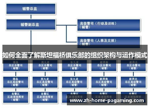 如何全面了解斯坦福桥俱乐部的组织架构与运作模式