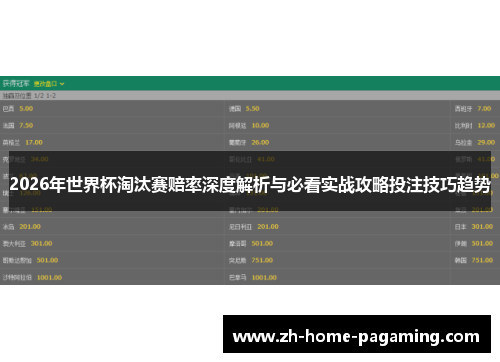 2026年世界杯淘汰赛赔率深度解析与必看实战攻略投注技巧趋势